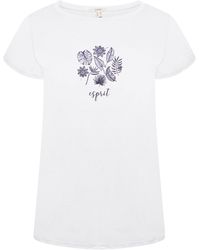 Esprit - Ladies T-Shirt Cotton - Lyst