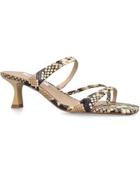 Steve Madden - Leather Ajay Snakeprint Sandals - Lyst