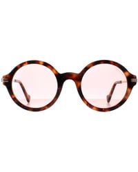 Moncler - Round Havana Ml0081 - Lyst