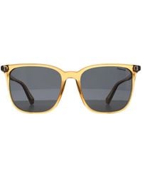 Polaroid - Square Transparent Polarized Pld 6226/S - Lyst