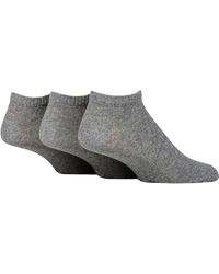SOCKSHOP TORE - 3 Pack Plain Sports Trainer Socks - Lyst