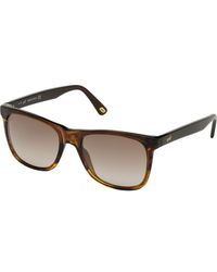 WEB EYEWEAR - We0279-5652G We0279 56 5652G Sunglasses - Lyst