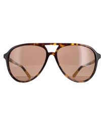 Polo Ralph Lauren - Aviator Shiny Dark Havana Sunglasses - Lyst
