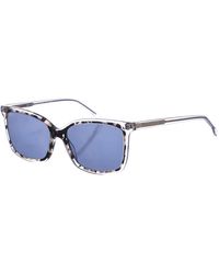 Zen - Z492 Square Shaped Acetate Sunglasses - Lyst
