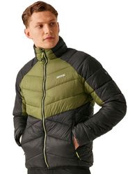 Regatta - Dalent Lightweight Full Zip Padded Jacket - Lyst