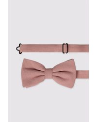 Antique Rogue - Bow Tie - Lyst