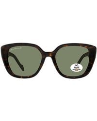 Montana - Butterfly Shiny Dark Turtle Polarized Mp180 - Lyst