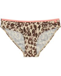 Regatta - Ladies Aceana Leopard Print Bikini Bottoms - Lyst