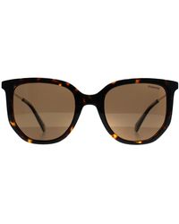Polaroid - Pld 4185/S/X 086 Sp Havanna Bronze Polarisierte Sonnenbrille - Lyst