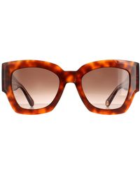 Tommy Hilfiger - Square Havana Honey Gradient Th 1862/S - Lyst
