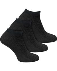 Sock Snob - 3 Pack 100% Cotton Trainer Socks - Lyst