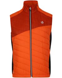 Dare 2b - Touring Quilted Lightweight Gilet (Puffins/Rooibos Tea) - Lyst