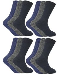 Sock Snob - 12 Pairs Wool Boot Socks For Hiking - Lyst