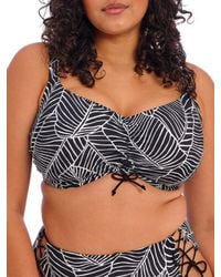 Elomi - Kata Beach Crop Bikini Top - Lyst