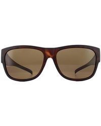 Polaroid - Suncovers Square Havana Polarized Sunglasses - Lyst