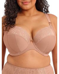Elomi - Lucie Plunge Bra - Lyst