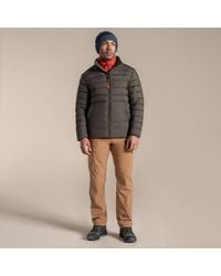 Craghoppers - National Trust Dalesway Padded Jacket - Lyst