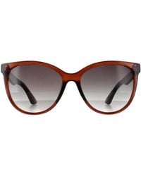 Smarty - Rund Damen Transparent Grau Sb2312 - Lyst