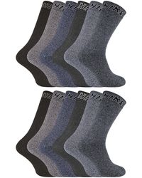 Sock Snob - 12 Pairs Cushioned Crew Hiking Socks - Lyst