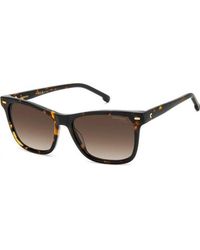 Carrera - 3001 S 54 86 Sunglasses - Lyst