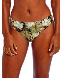 Freya - Bahama Shores Bikini Brief - Lyst
