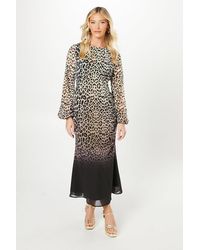 Debut London - By Coast Animal Print Blouson Sleeve Georgette Midi Dress - Lyst