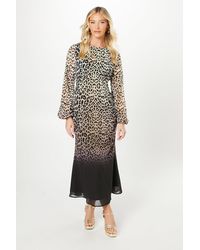Debut London - By Coast Animal Print Blouson Sleeve Georgette Midi Dress - Lyst
