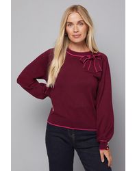 Wallis - Petite Tipped Bow Neck Jumper - Lyst