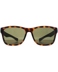 Lacoste - Rectangle Havana L737S - Lyst