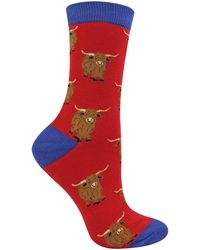 Miss Sparrow - Ladies Highland Cow Socks - Lyst