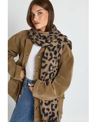 Boohoo - Leopard Tassel Lightweight Blanket Scarf - Lyst