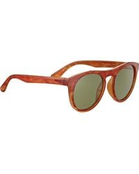 Serengeti - Ss572001-S 53 Kingman Sunglasses - Lyst