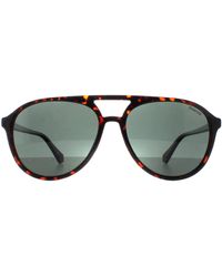 Polaroid - Aviator Havana Polarized Pld 4162/S - Lyst