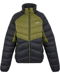 Regatta - Dalent Padded Jacket (Nephrite/ Material_Synthetic - Lyst