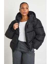 Boohoo - Plus Hooded Padded Puffer Jacket - Lyst