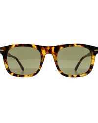Serengeti - Square Shiny Classic Havana Mineral Polarized 555Nm Photochromic Charlton - Lyst