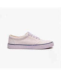 TOMS - Alpargata Fenix Lace-Up Ladies Trainers - Lyst