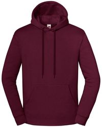 Fruit Of The Loom - Adult Iconic Premium Hooded Sweatshirt - Lyst
