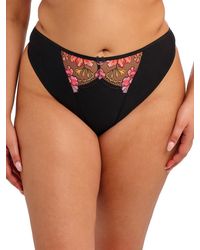 Elomi - Teagan Thong - Lyst