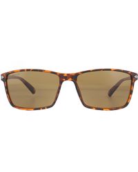 Montana - Sunglasses Mp51 D Turtle Rubbertouch Polarized - Lyst