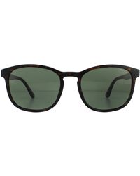 Police - Square Shiny Havana Sunglasses - Lyst
