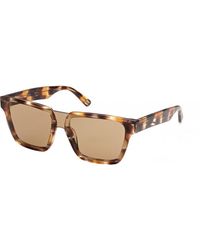 WEB EYEWEAR - We0314 0041F Sunglasses - Lyst