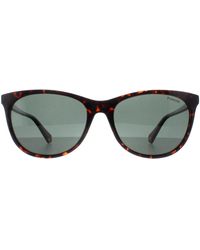 Polaroid - Cat Eye Havana Polarized Pld 4161/S - Lyst