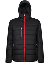 Regatta - Thermisch Gewatteerd Jack Voor (zwart/klassiek Rood) - Lyst