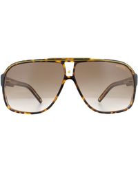 Carrera - Retro Aviator Havana Gradient Sunglasses - Lyst