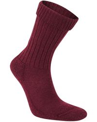 Craghoppers - Adult Hiker Wool Boot Socks (Wild Berry) - Lyst