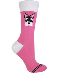 Sock Snob - 1 Pair Novelty Cat Dog Socks With Beagle Pug Scotty Dog - Lyst