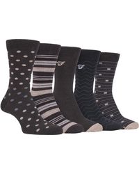 Farah - 5 Pack Thin Breathable Classic Polka Dot Patterned Soft Top Cotton Dress Socks - Lyst