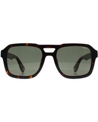 Police - Square Shiny Dark Havana Spln65 Forever 2 - Lyst