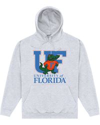 Park Fields - University Of Florida Uf Heather Hoodie Cotton - Lyst